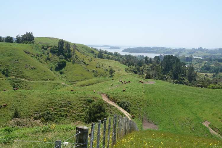 179 and 216 Rankin Road Waiotahe_26