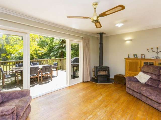 49 Blue Mountains Road Pinehaven_3