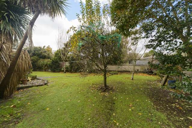 6 Dittmer Drive Awapuni_1