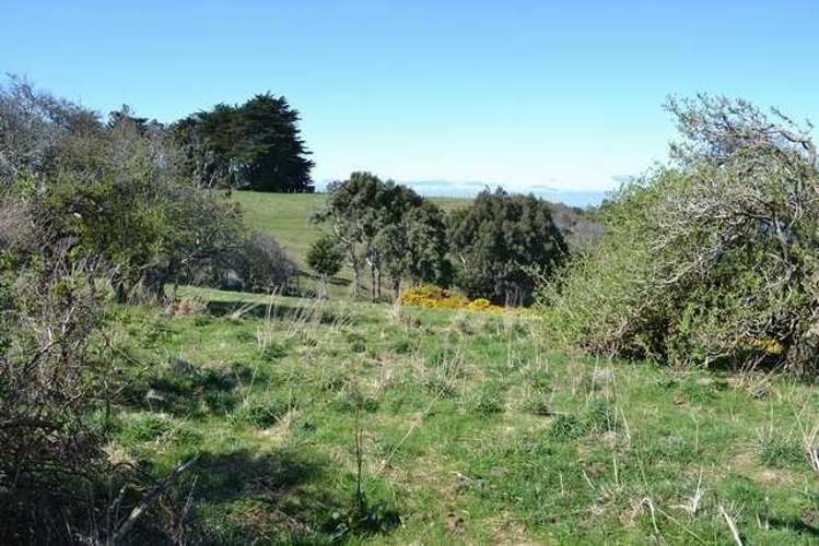 215 Green Island Bush Road Waldronville_6