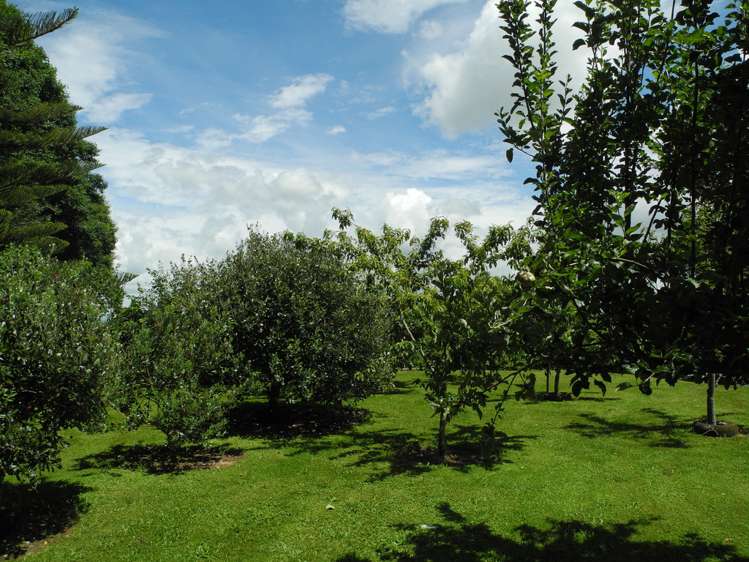 1/1449 Arapuni Road Parawera_15