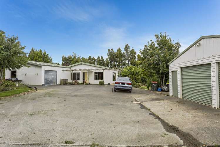 156 Halfway Bush Road Halfway Bush_17