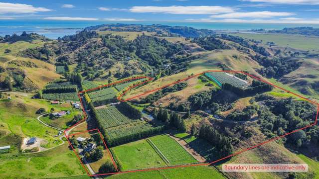 Green, gold and grazing - 12ha block