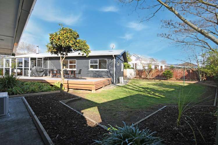 298 Nayland Road Stoke_6