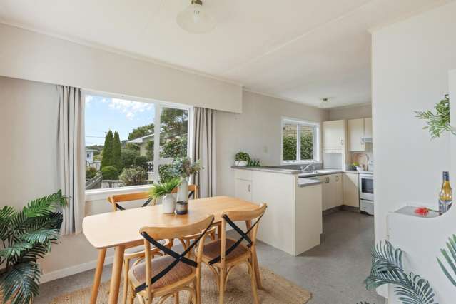 7 Essex Street Vogeltown_2