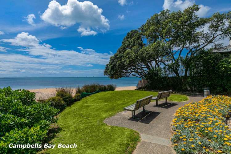 3 Tree Fern Trail Campbells Bay_25