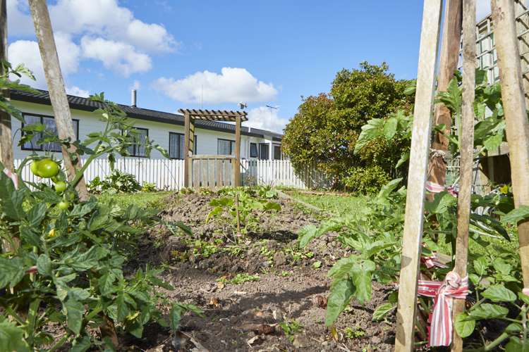 869 Woodcocks Road Kaipara Flats_7