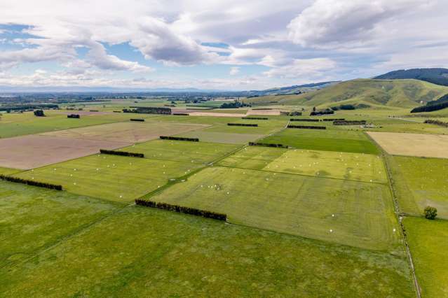 Christchurch Akaroa Road Tai Tapu_1