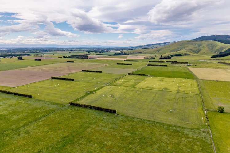 Christchurch Akaroa Road Tai Tapu_1