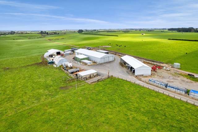 226 Ngarongo Road Normanby_1
