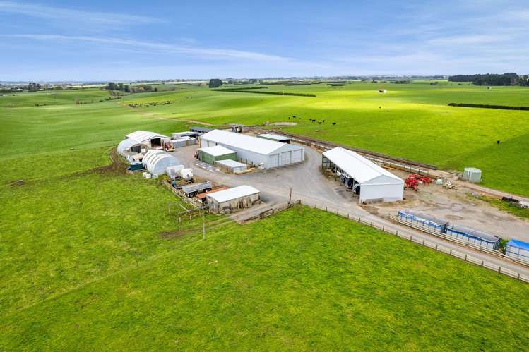 226 Ngarongo Road Normanby_1