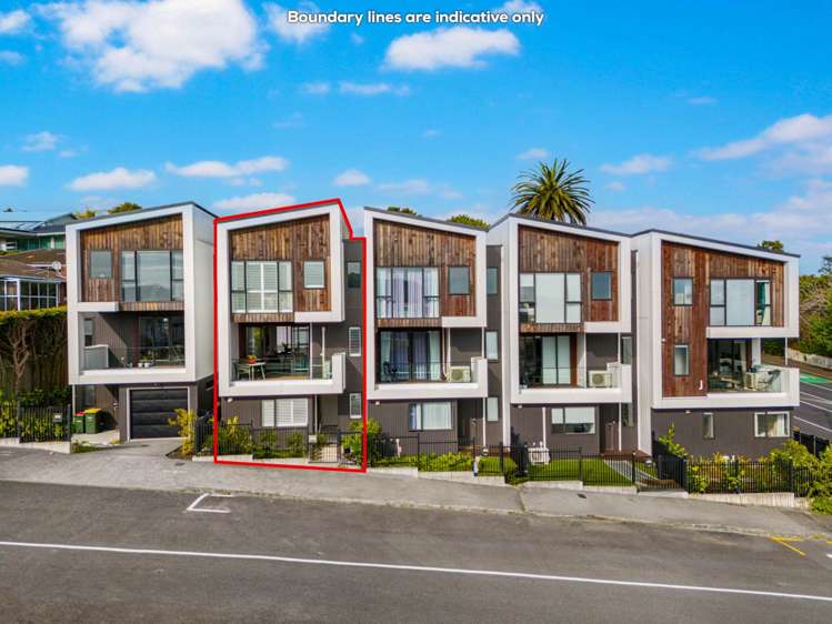 1c Rahiri Road Mount Eden_14