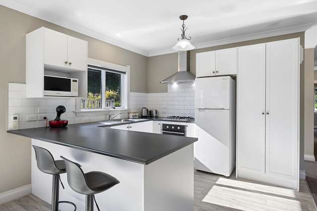 50A Carrington Street Lower Vogeltown_2