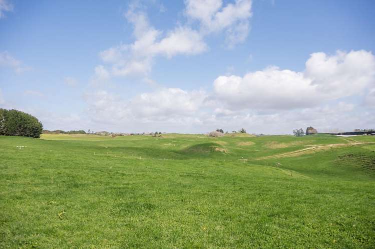 753 Pongakawa Bush Road Pongakawa_10