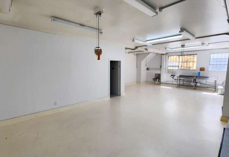 161-167 Apirana Avenue St Johns_4