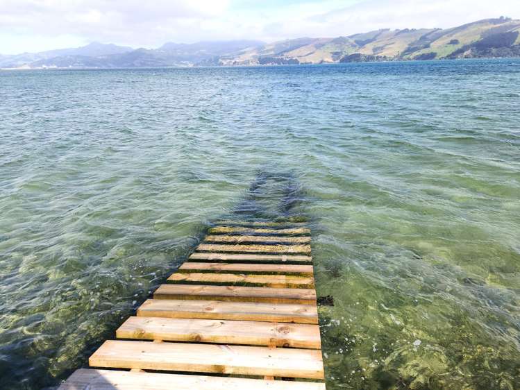 2006.003 Boat Shed - Harington Point Road_5