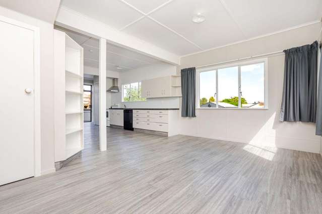 13 Stanley Street Dannevirke_2