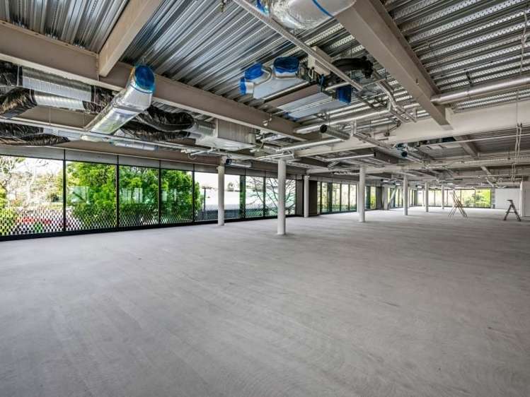 Whole Building/9 Marewa Road Greenlane_8