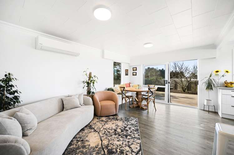 455 Kahikatea Drive Dinsdale_4