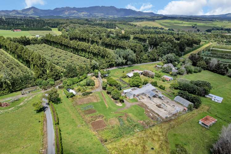 410A Whatitiri Road Poroti_21
