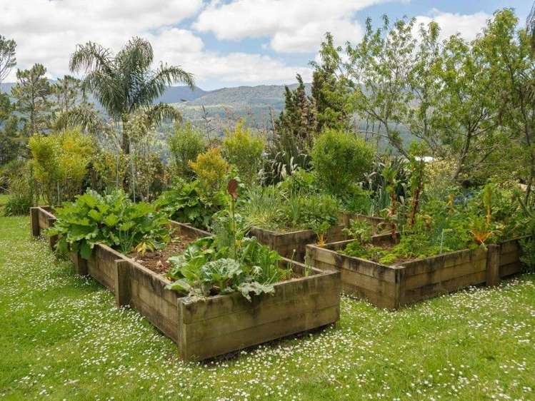 6838 State Highway 12 Waimamaku_13