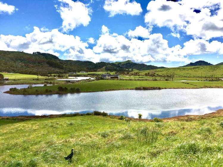 65 Lakeview Lane Mangawhai_7