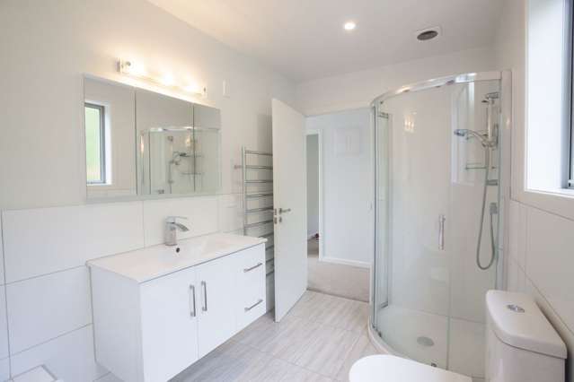 159D Lowes Road Rolleston_4