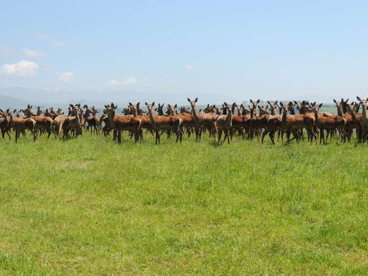 171 Monavale Road Albury_10