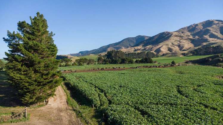 454 Parkville Road Eketahuna_9