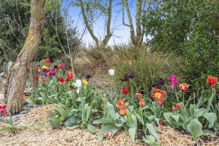 52 Jacksons Road Ohoka_11