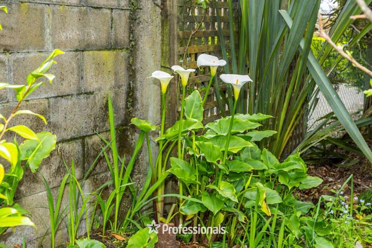 14 Prouse Grove Silverstream_19