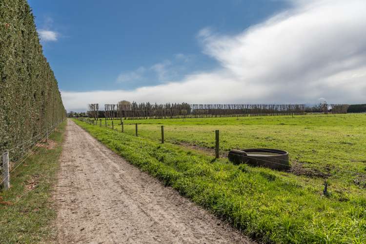 264 Greenpark Road Lincoln_21