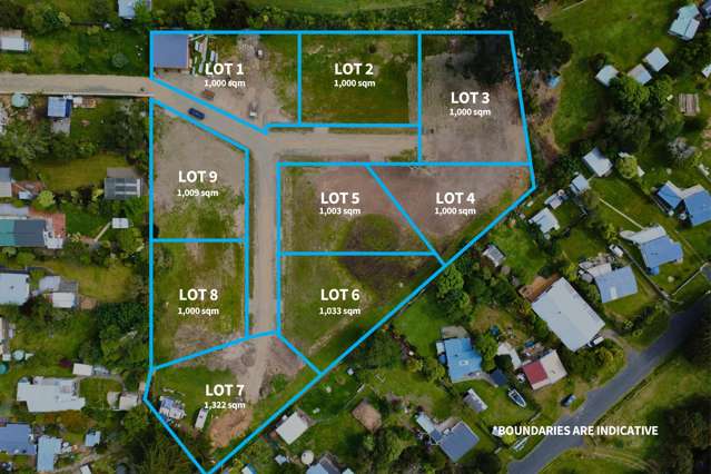 BLACK FRIDAY PRE-TITLE FLASH DEAL