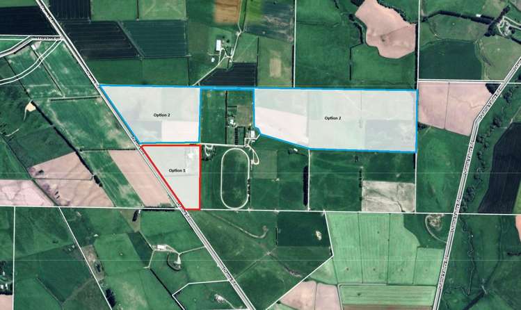 391A Otama Road Otama_23