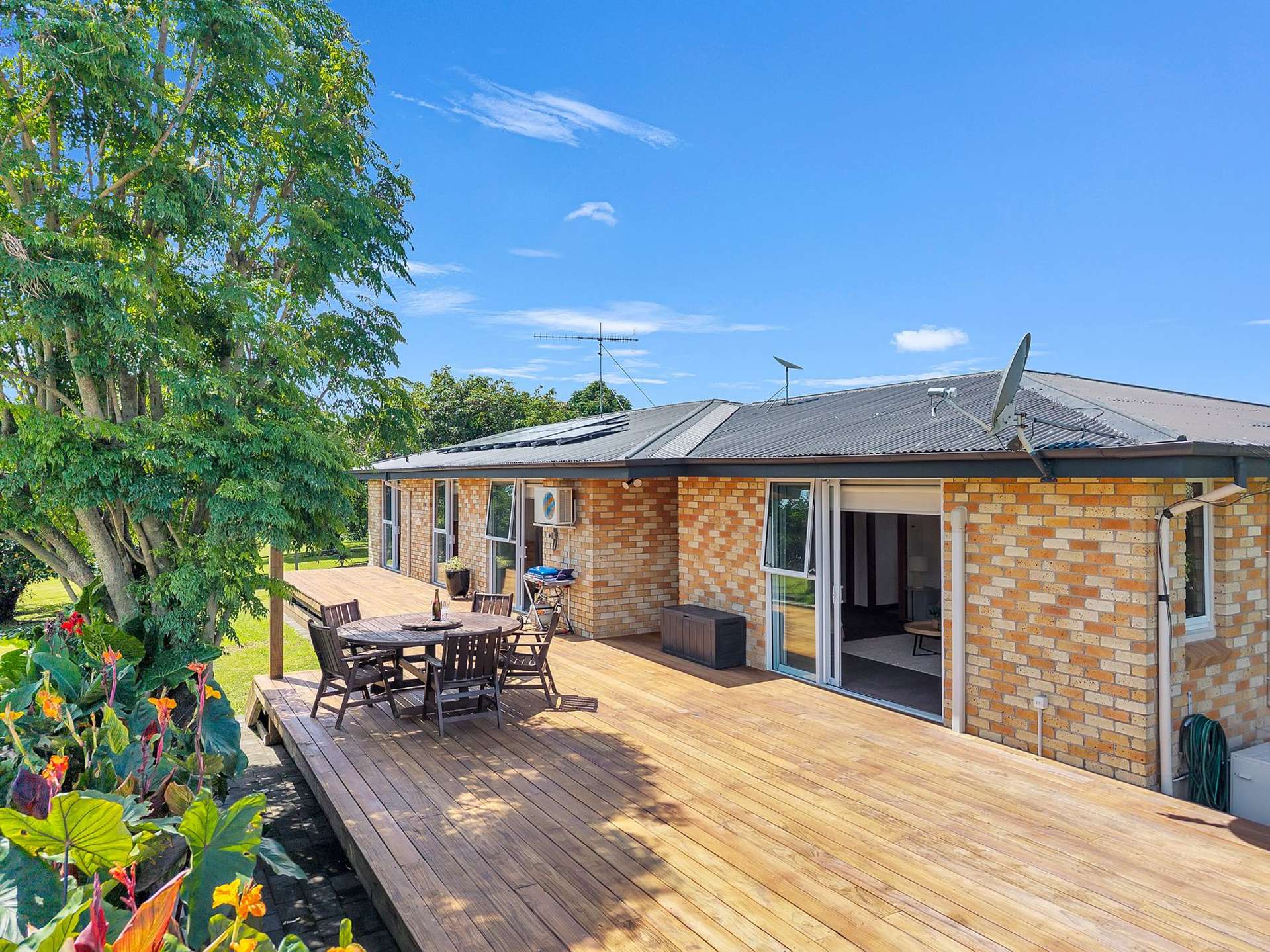 23 Collins Lane Te Puke_0
