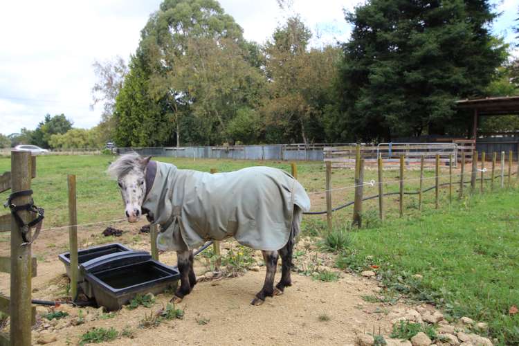 11 Pinfold Road Woodville_23