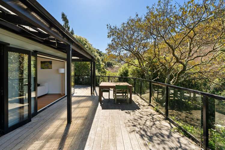 6 Irvine Street Aro Valley_10