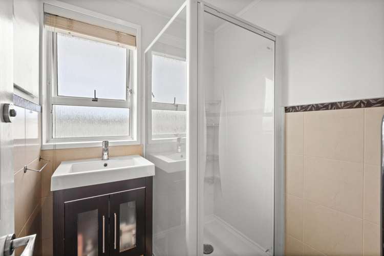 30 Norfolk Street Tamatea_7