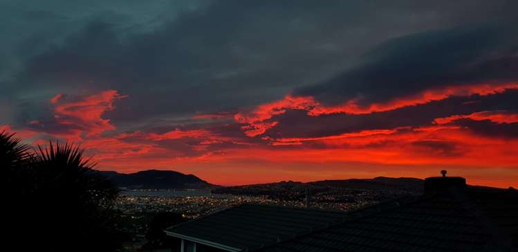 14 Earls Road Saint Clair_18