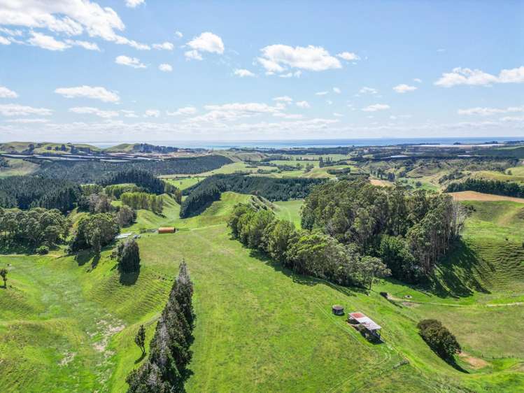 1-6/461 Otamarakau Valley Road Pukehina_19