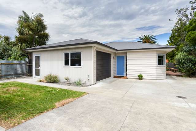 75a Douglas Mclean Avenue Marewa_4