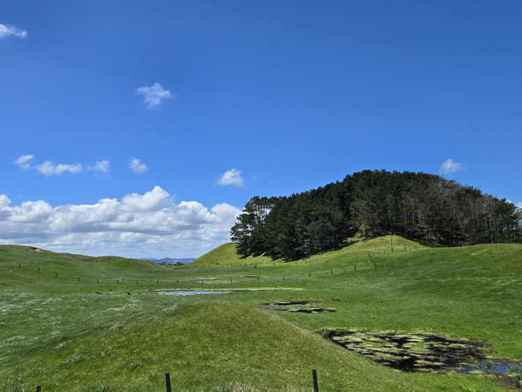 1090 Te Maire Road Dargaville_14