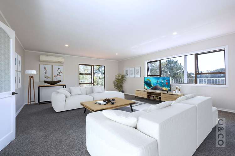 46 Potter Road Dairy Flat_8