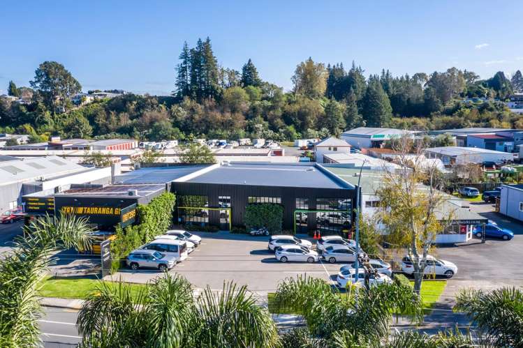 293 Fraser Street Tauranga South_16