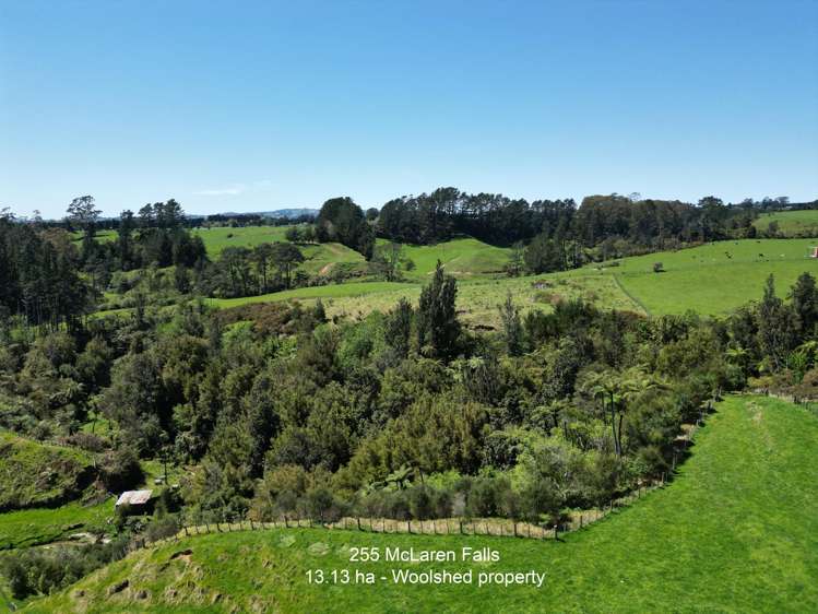 255 McLaren Falls Road_5