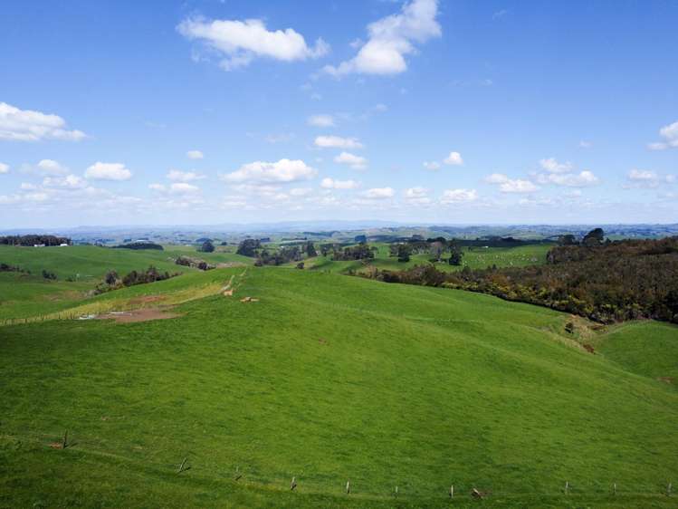 870 Mangati Road Pirongia_42