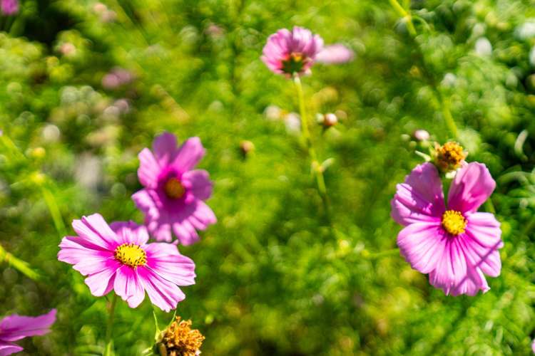 8 Grove Road Mangawhai Heads_27