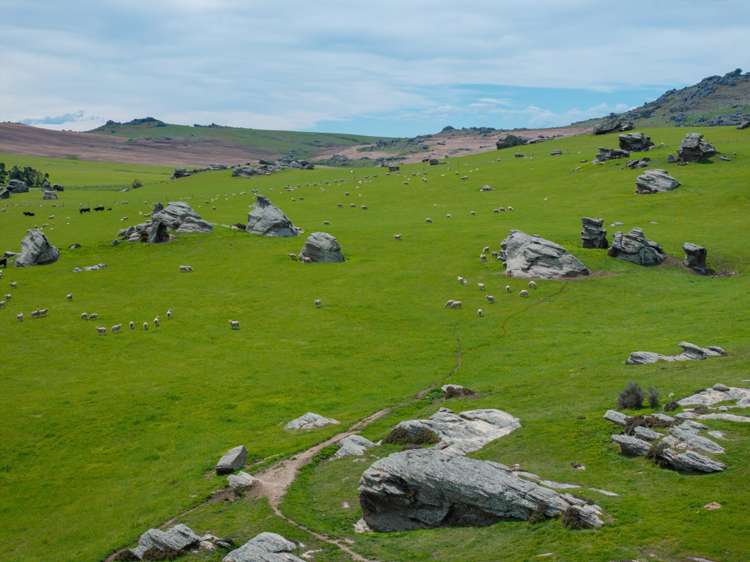 755-971 Linnburn Runs Road Paerau_20