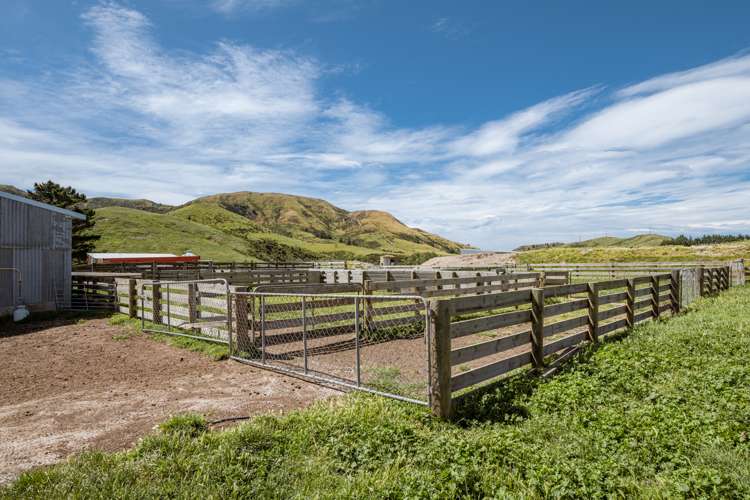 7797 State Highway 1 Ward_24