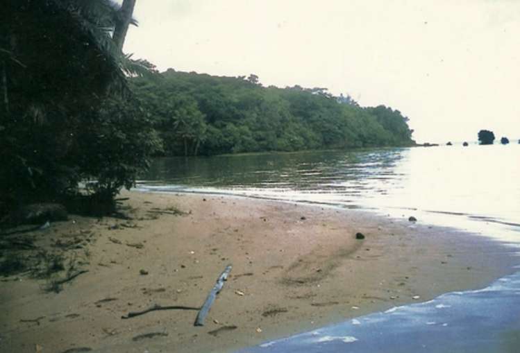 lot 3 and 4 Nasalia Estate, Udu Point, Vanua Levu Vanua Levu_9